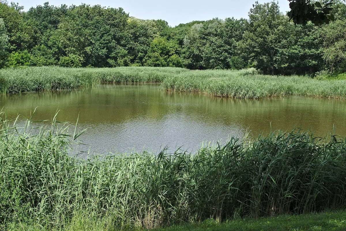 Grădina Botanică „Anastasie Fătu” din Iași